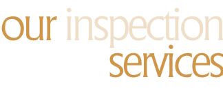 our inspection     services